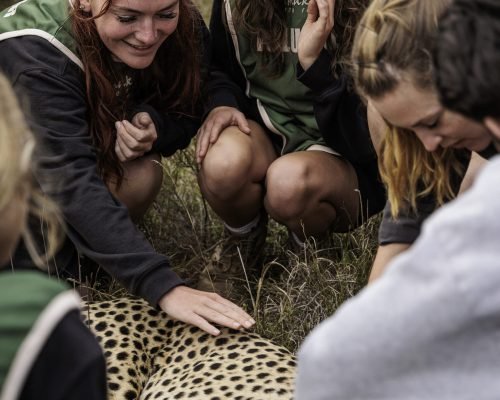 Amakhala volunteers in Action 2